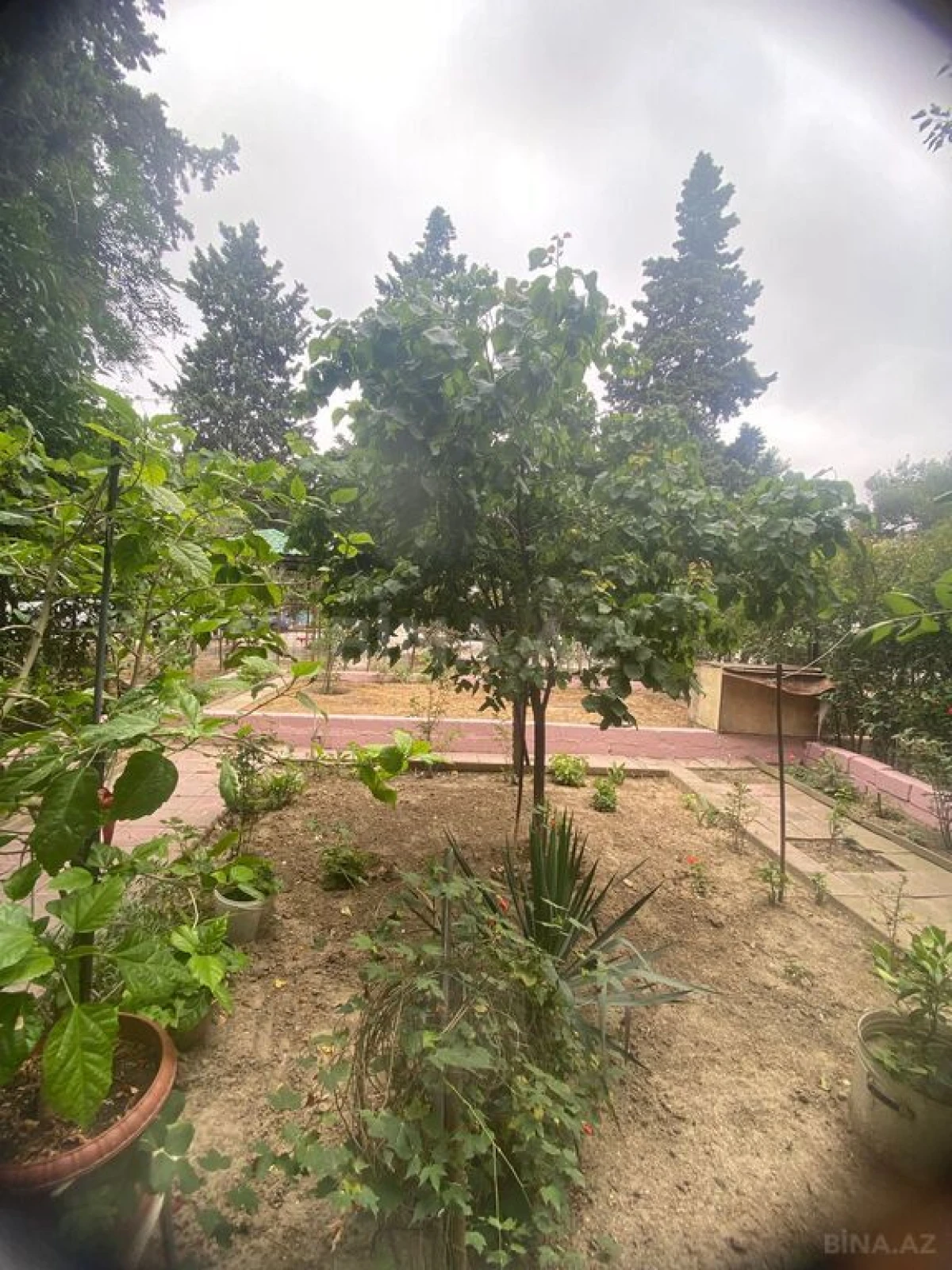 Satılır 3 otaqlı mənzil 75 m²