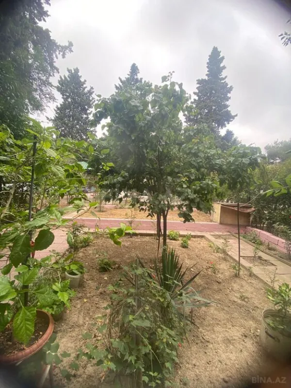 Satılır 3 otaqlı mənzil 75 m²