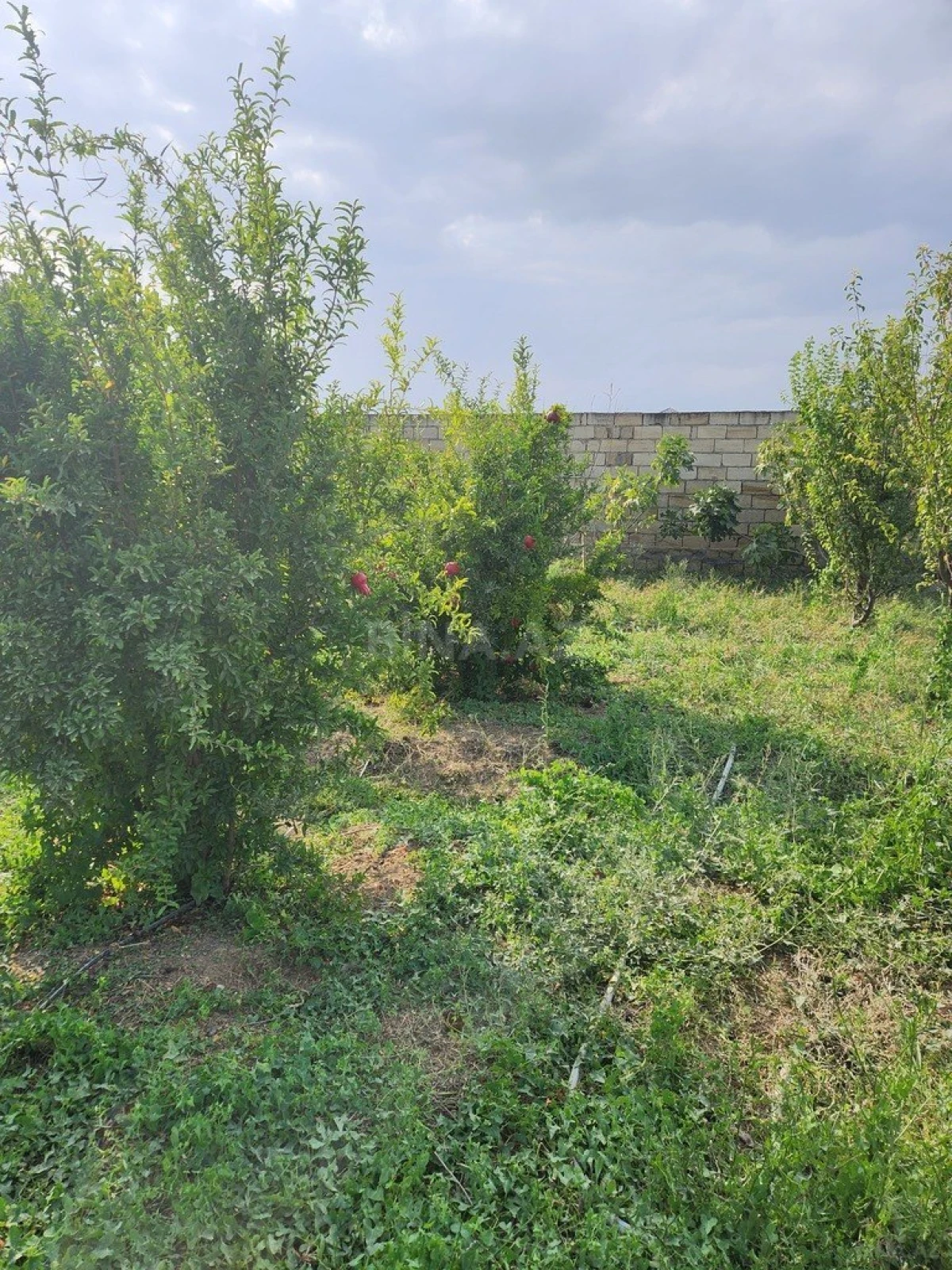 Satılır torpaq sahəsi 8 m²