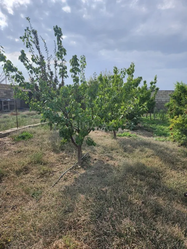 Satılır torpaq sahəsi 8 m²