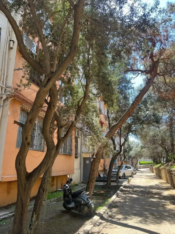 Satılır 2 otaqlı mənzil 45 m²