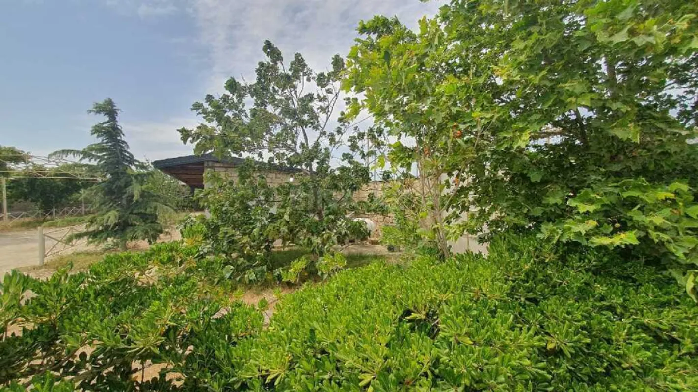 Satılır obyekt 1550 m²