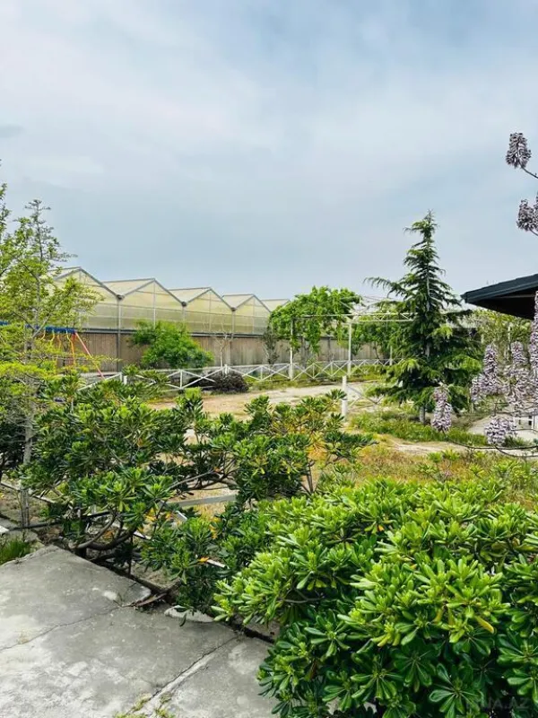 Satılır obyekt 1550 m²