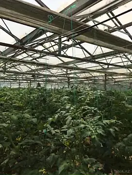 Satılır obyekt 1550 m²