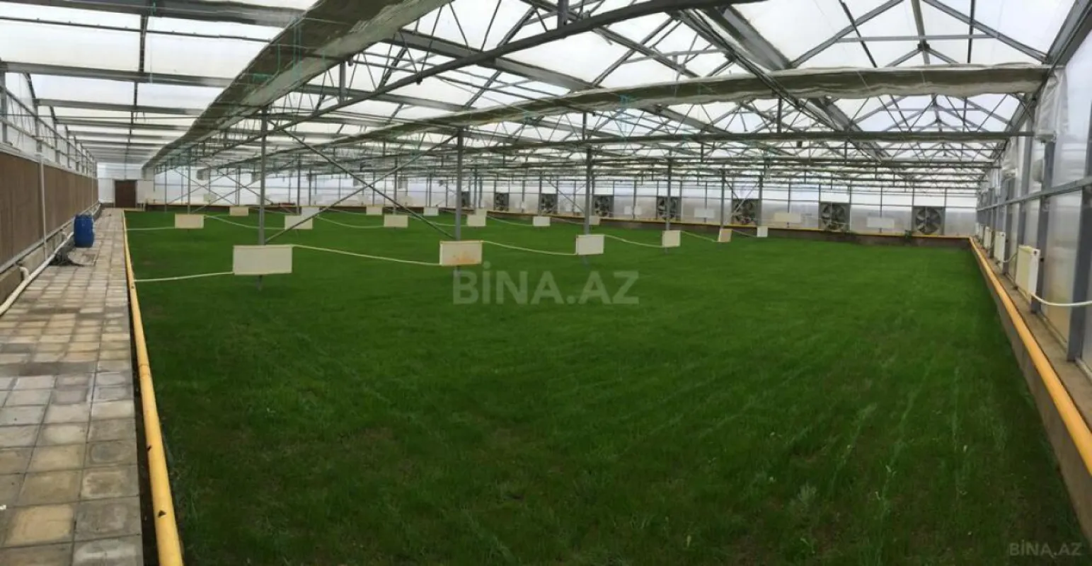 Satılır obyekt 1550 m²