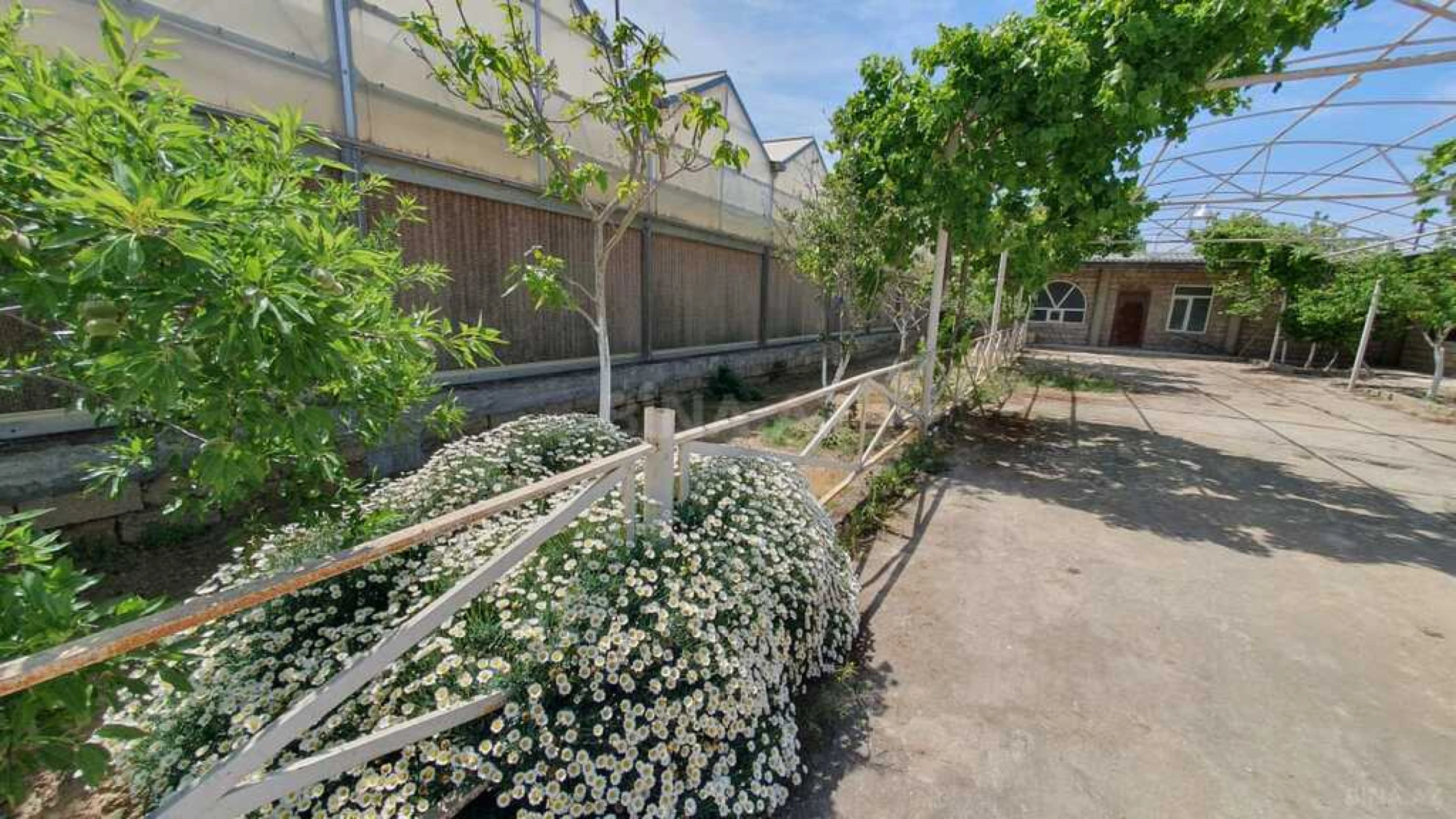 Satılır obyekt 1550 m²