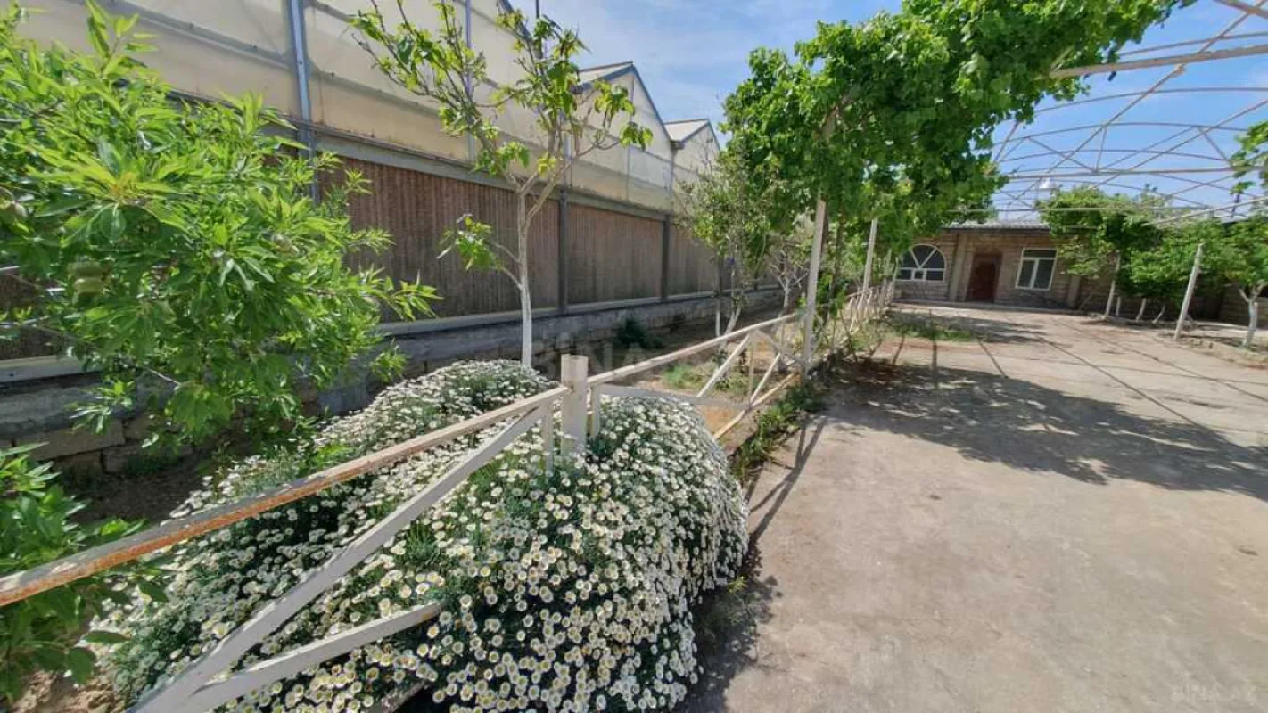 Satılır obyekt 1550 m²