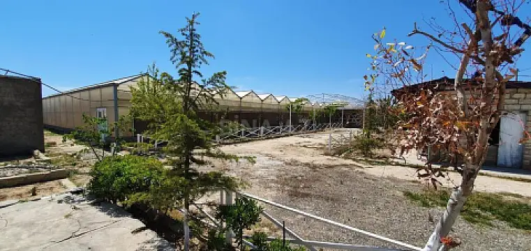 Satılır obyekt 1550 m²