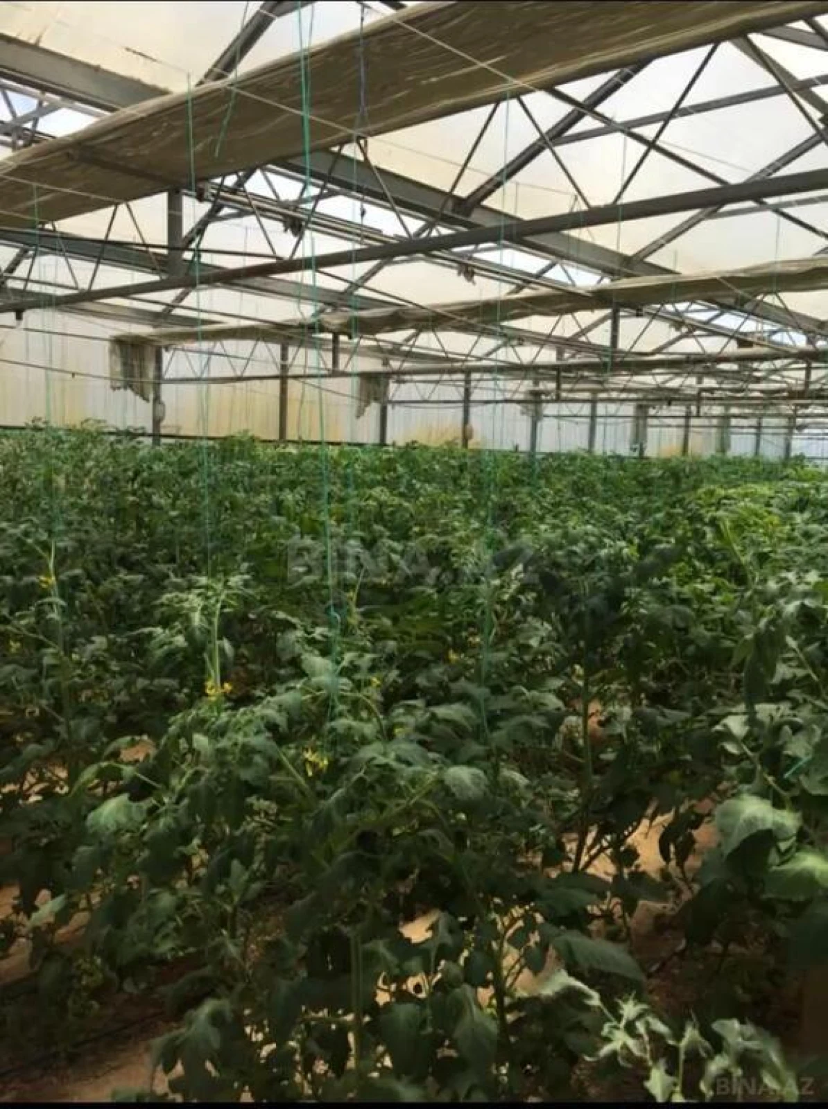 Satılır obyekt 1550 m²