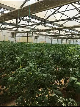 Satılır obyekt 1550 m²