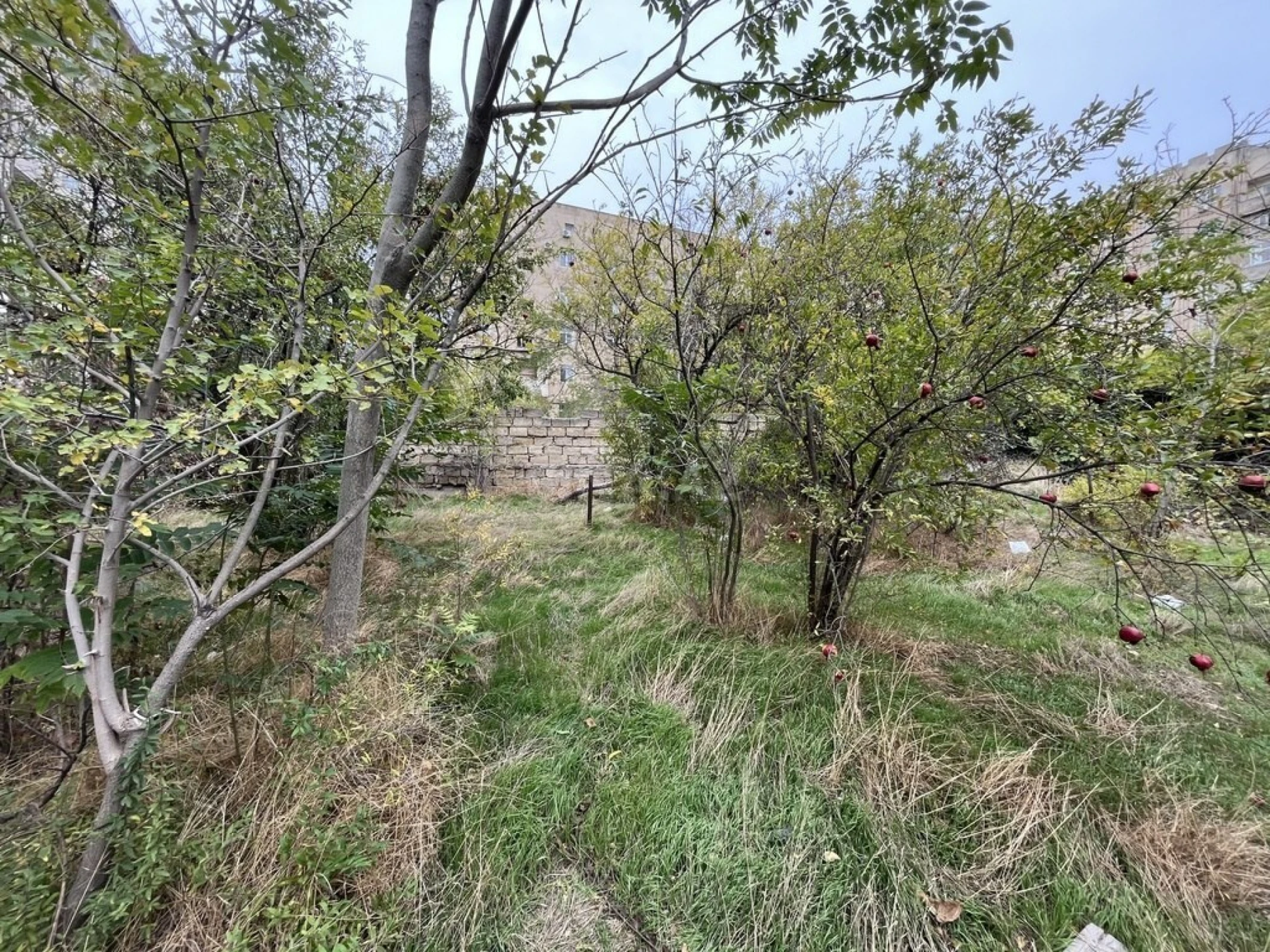 Satılır torpaq sahəsi 5 m²