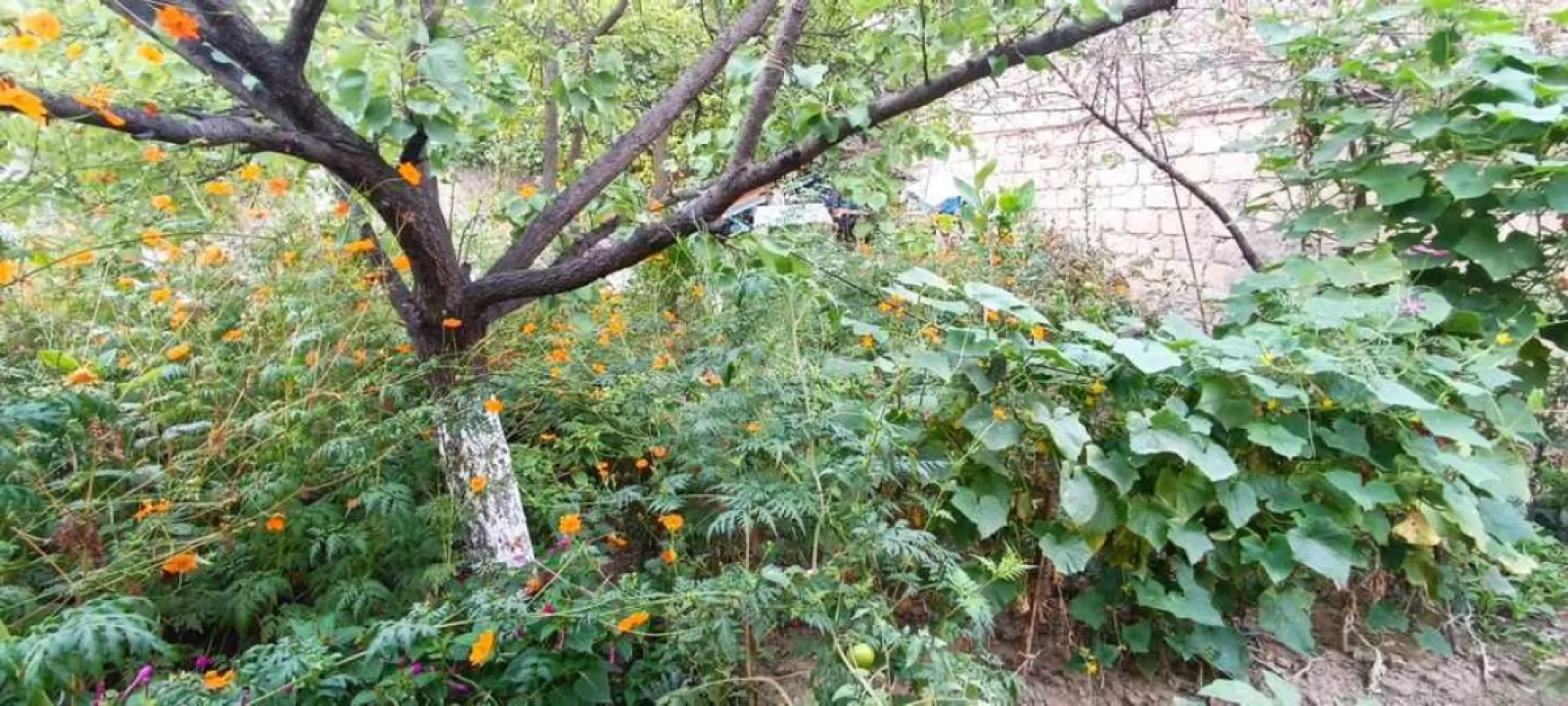 Satılır 3 otaqlı həyət evi 125 m²