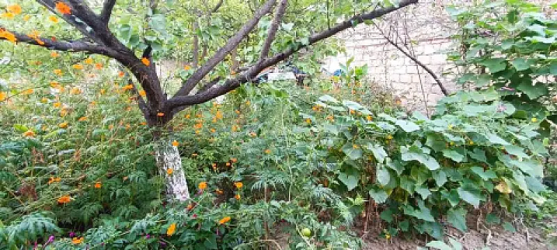 Satılır 3 otaqlı həyət evi 125 m²