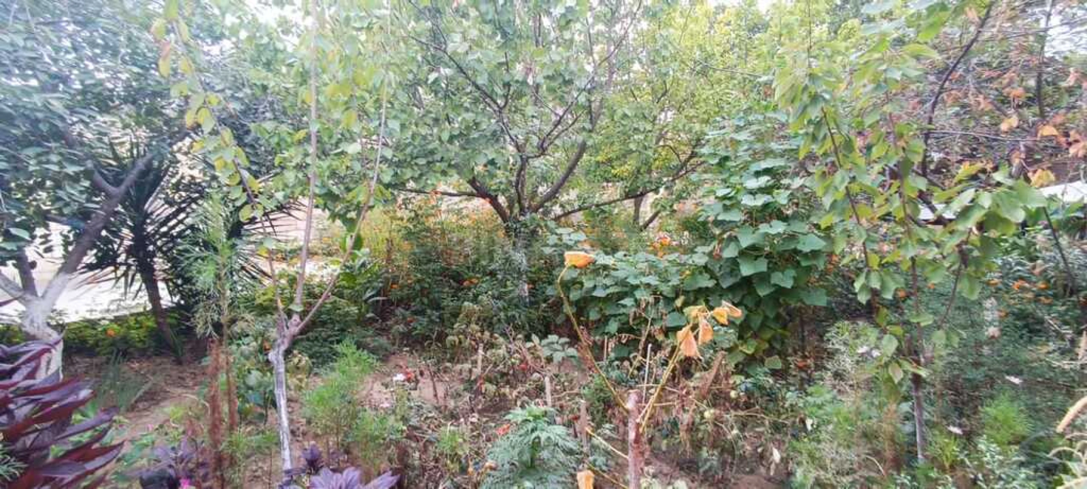 Satılır 3 otaqlı həyət evi 125 m²