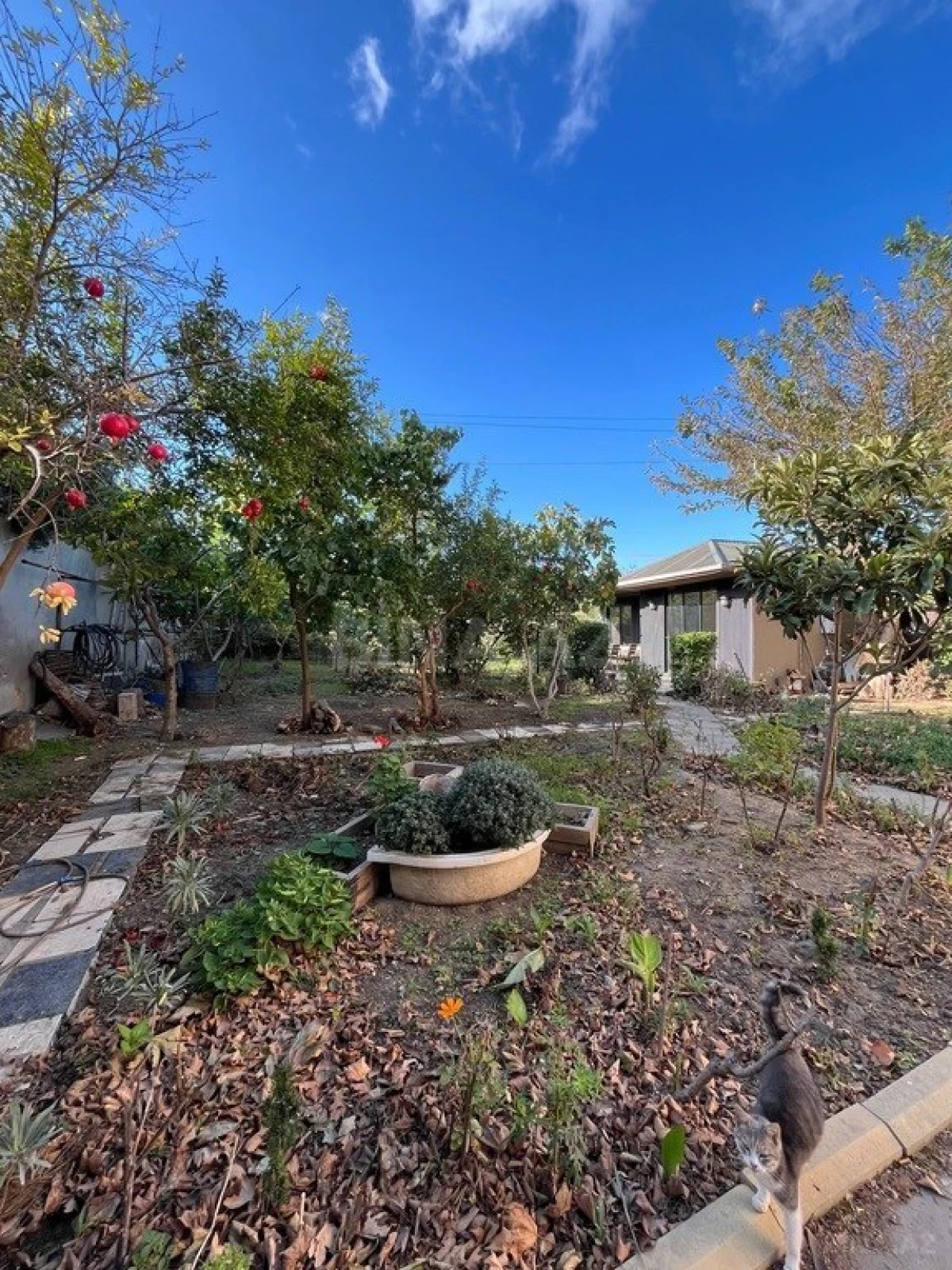 Satılır 7 otaqlı həyət evi 300 m²