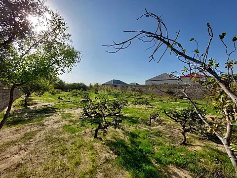 Satılır torpaq sahəsi 25 m²