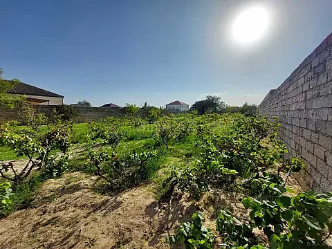 Satılır torpaq sahəsi 25 m²