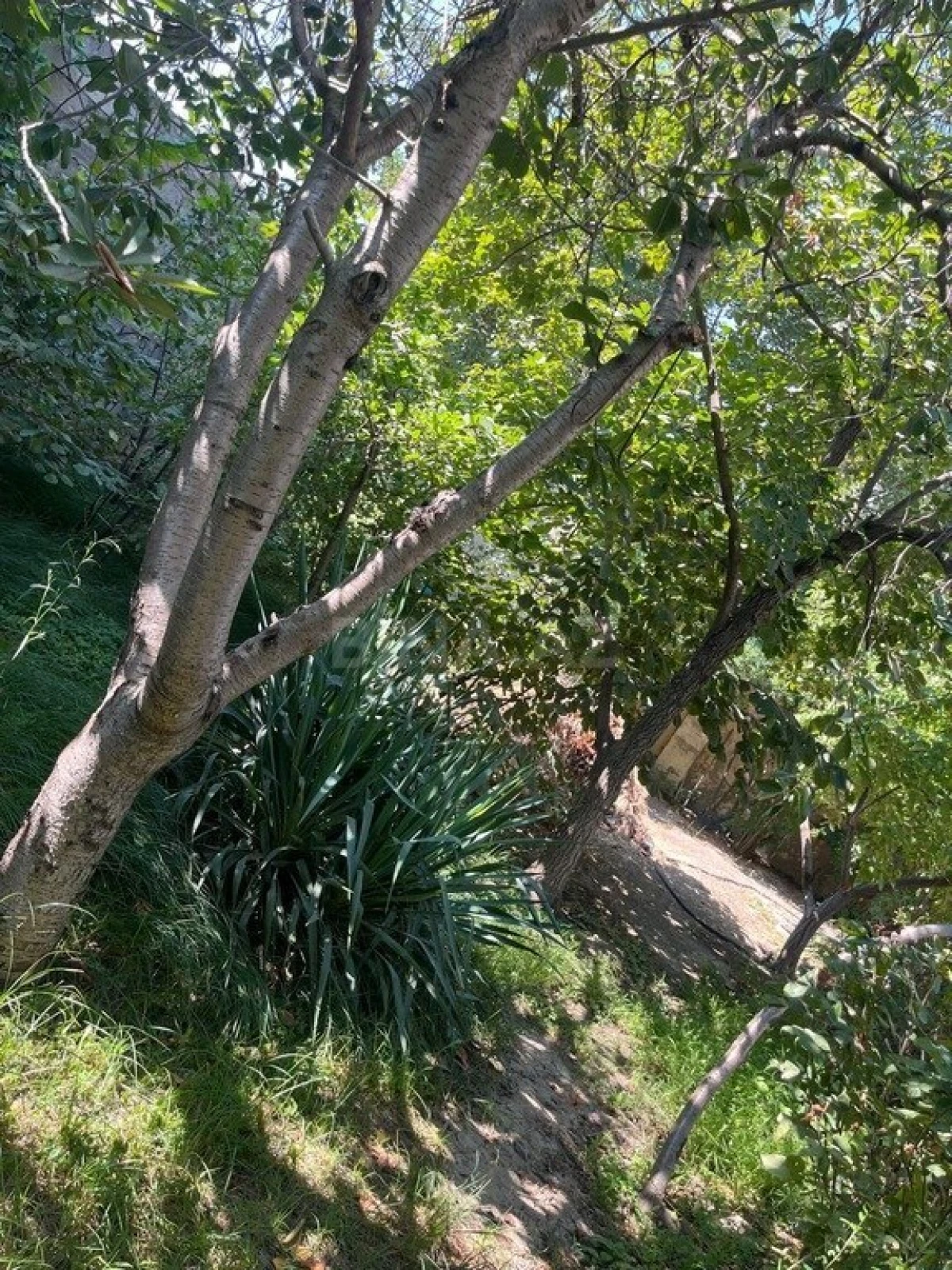 Satılır 4 otaqlı həyət evi 100 m²