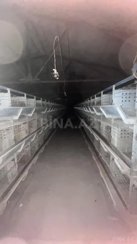 Satılır obyekt 17000 m²