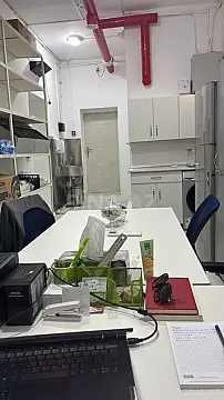 Satılır obyekt 117 m²