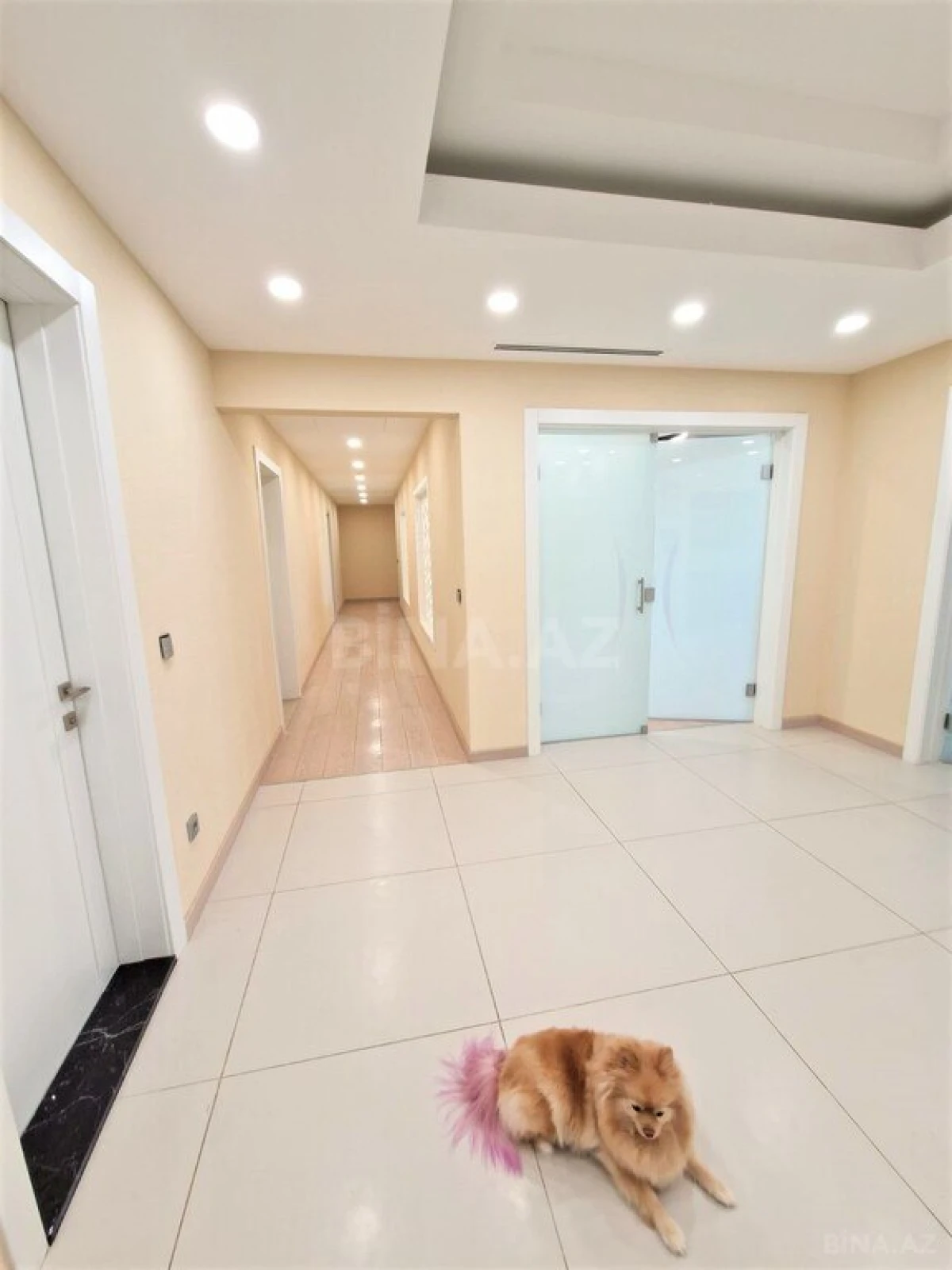 Kirayə verilir 4 otaqlı mənzil 340 m²