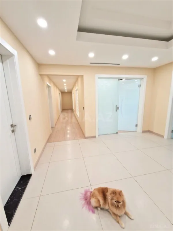 Kirayə verilir 4 otaqlı mənzil 340 m²