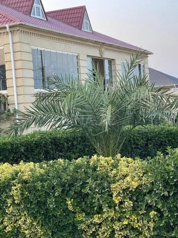 Satılır 4 otaqlı həyət evi 240 m²