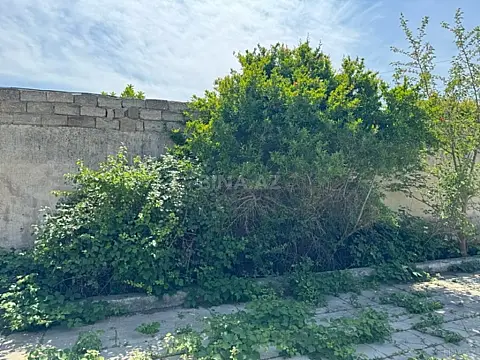 Satılır torpaq sahəsi 11 m²