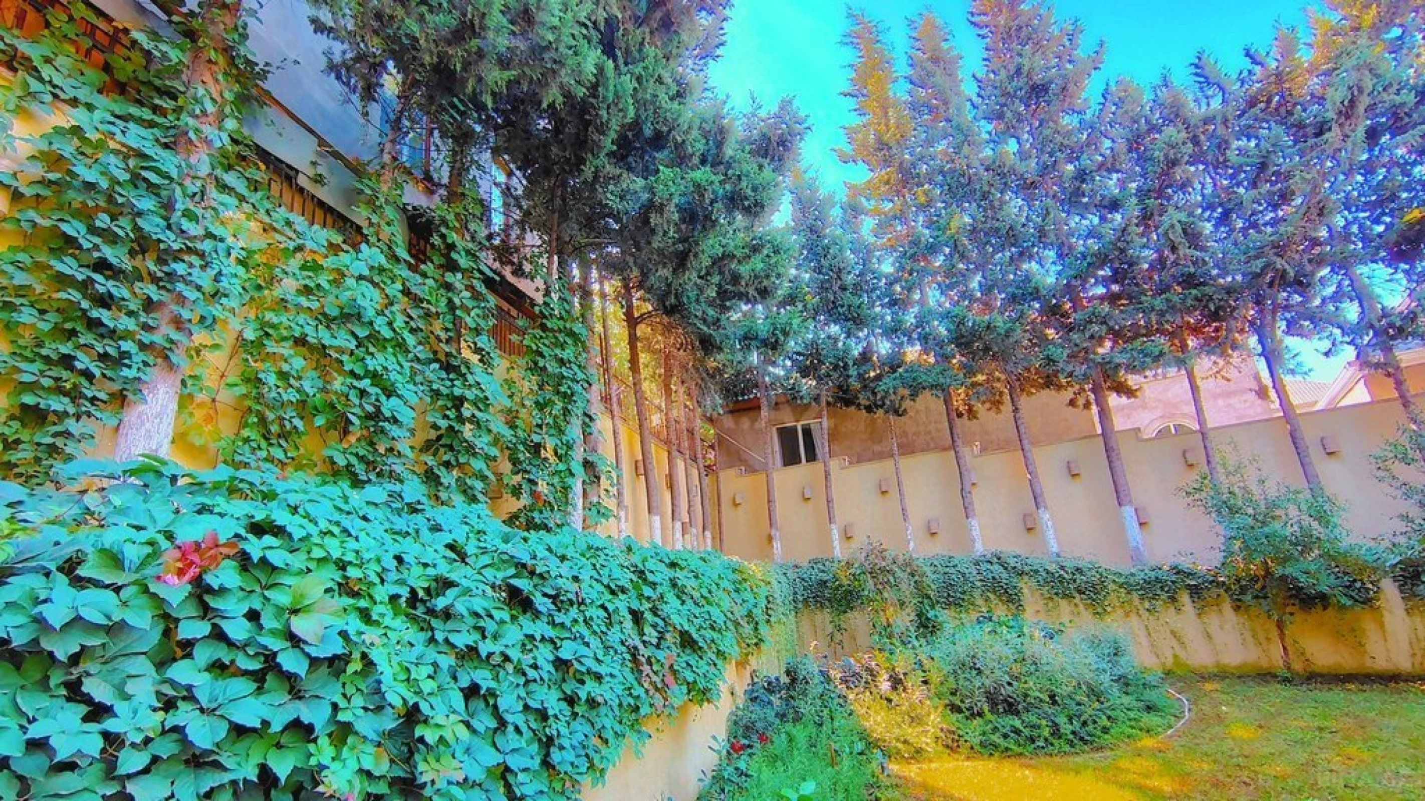 Kirayə verilir 6 otaqlı həyət evi 360 m²