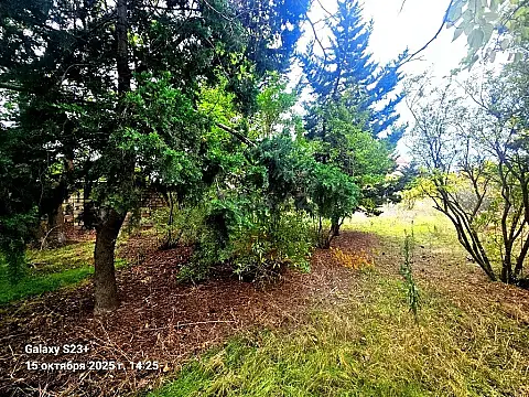 Satılır torpaq sahəsi 24 m²