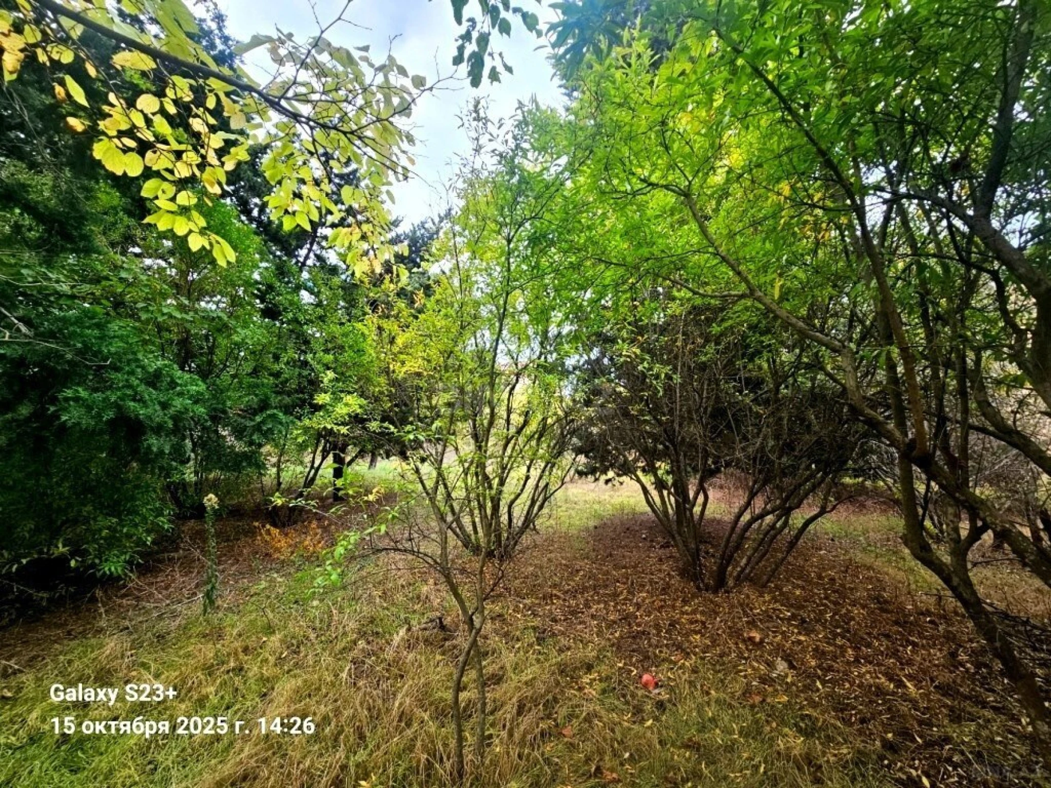 Satılır torpaq sahəsi 24 m²