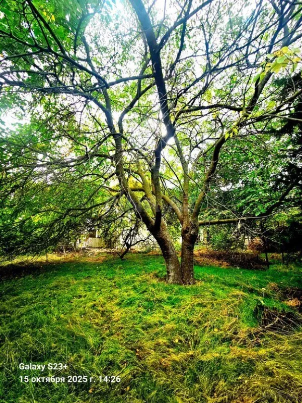 Satılır torpaq sahəsi 24 m²