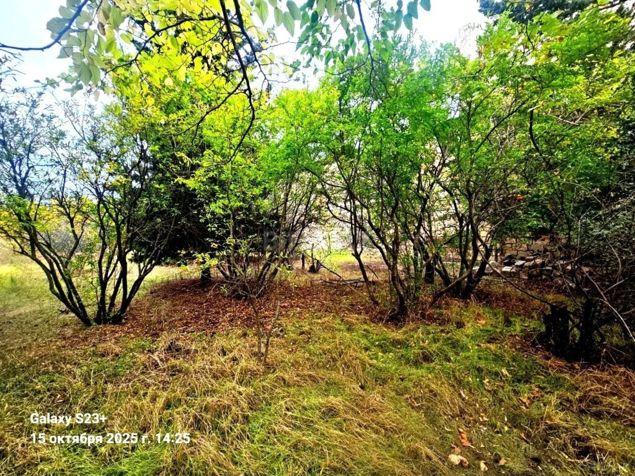 Satılır torpaq sahəsi 24 m²