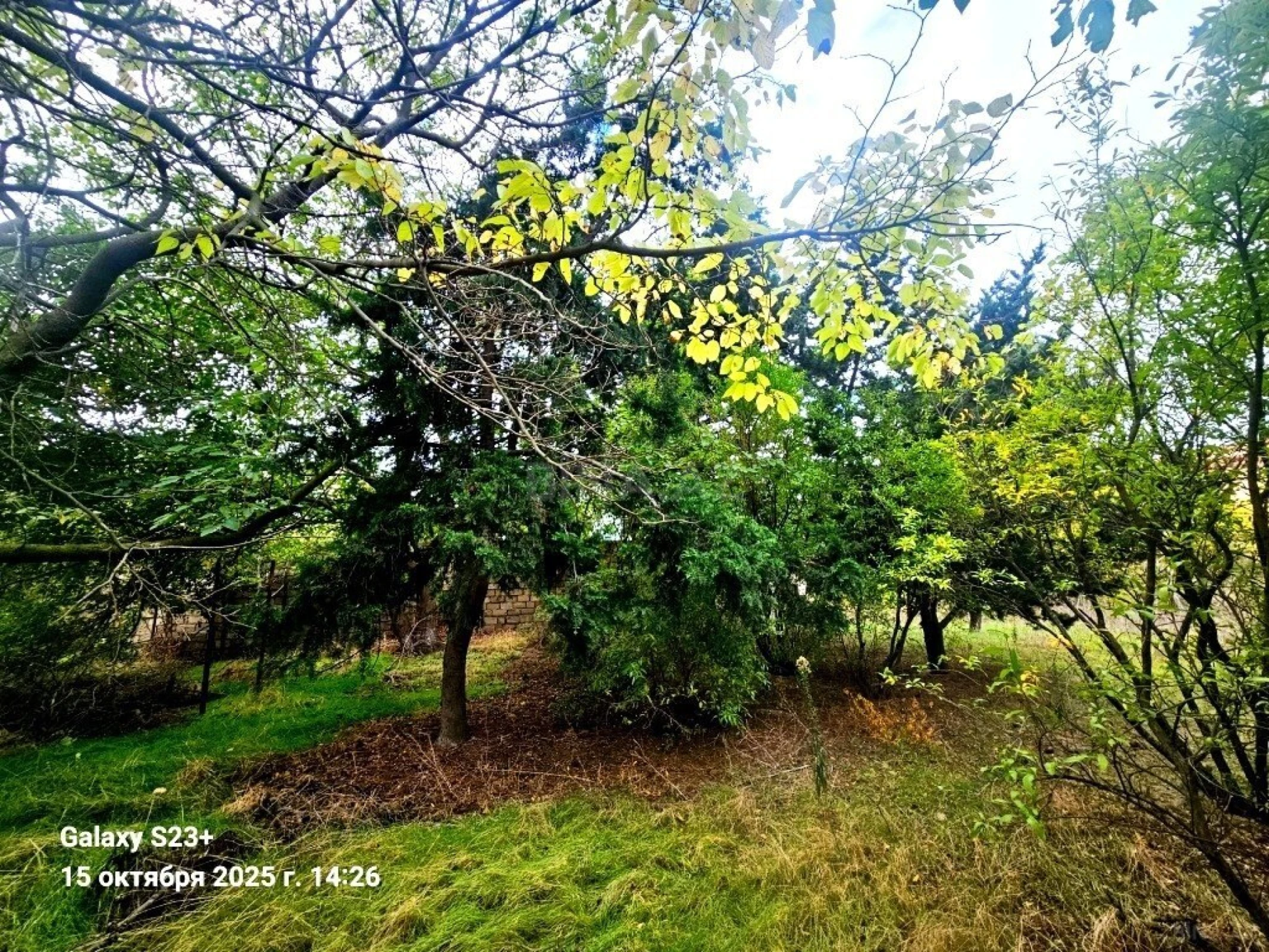 Satılır torpaq sahəsi 24 m²