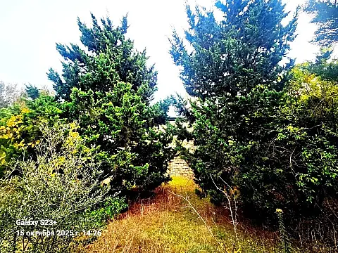 Satılır torpaq sahəsi 24 m²