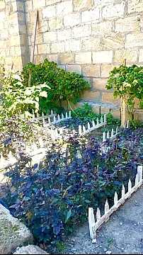 Satılır 5 otaqlı həyət evi 200 m²