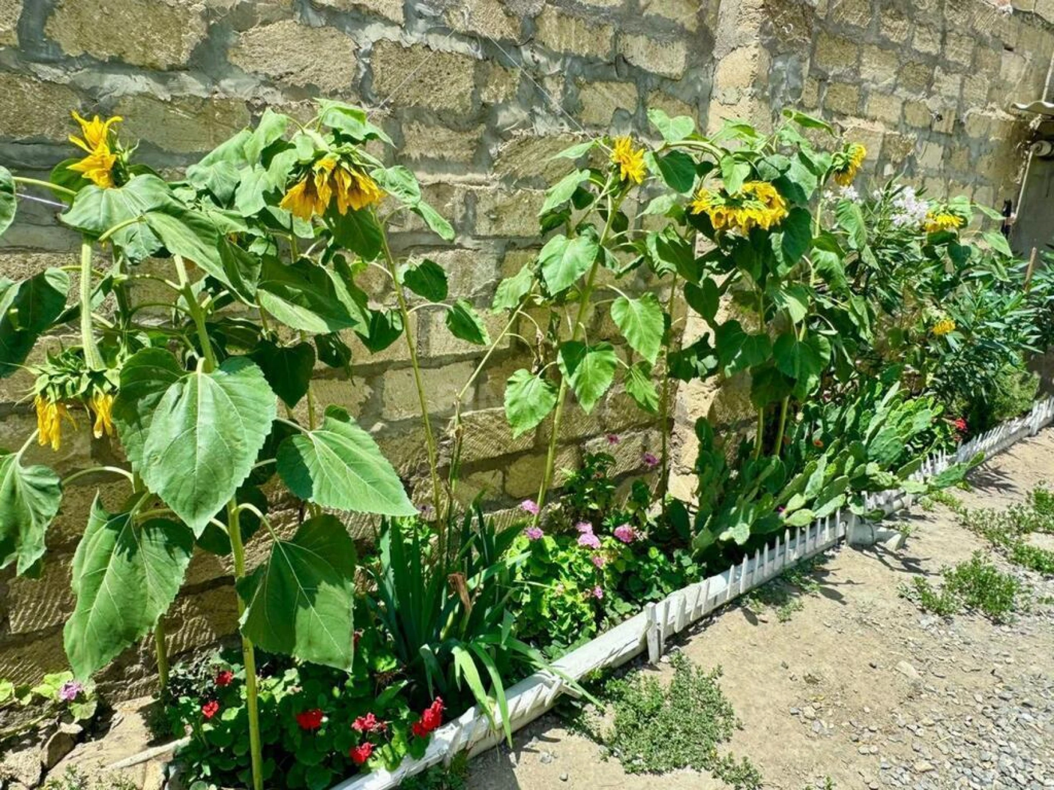 Satılır 5 otaqlı həyət evi 200 m²