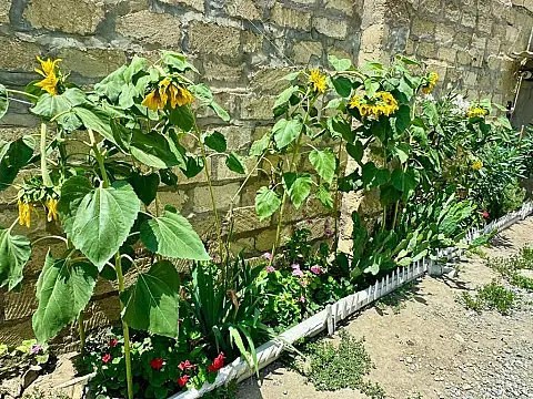 Satılır 5 otaqlı həyət evi 200 m²