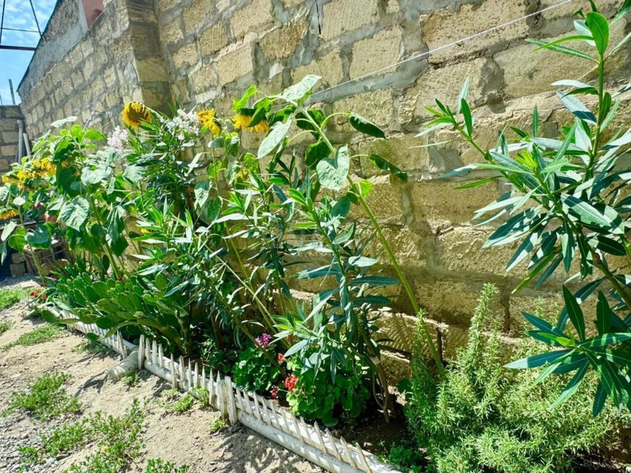 Satılır 5 otaqlı həyət evi 200 m²