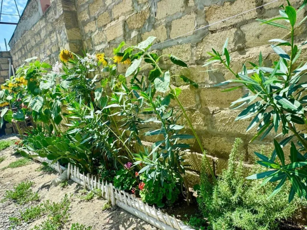 Satılır 5 otaqlı həyət evi 200 m²