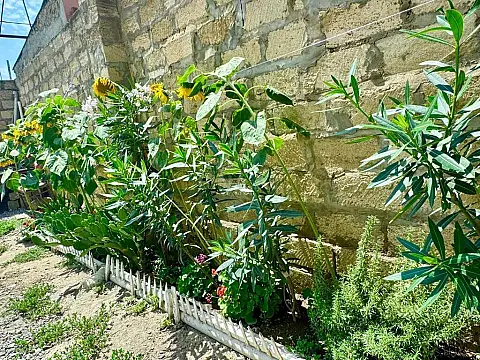 Satılır 5 otaqlı həyət evi 200 m²