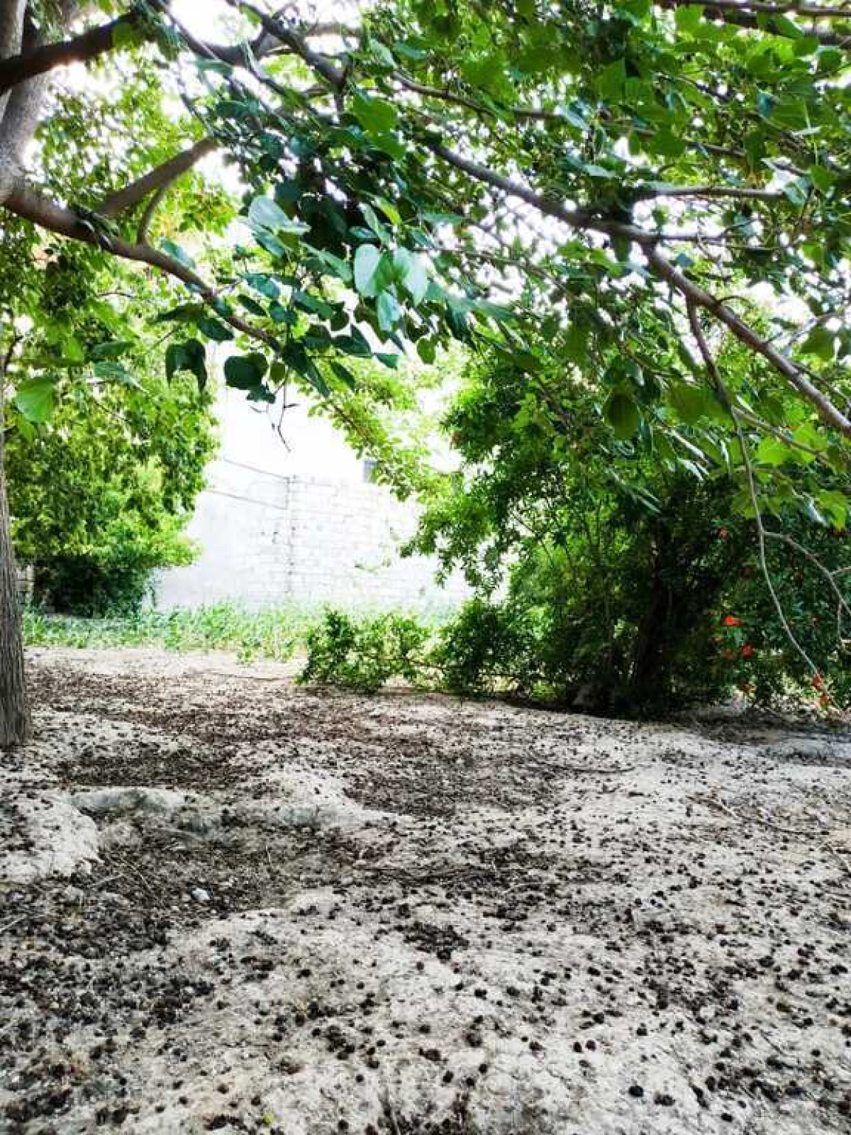 Satılır torpaq sahəsi 15.3 m²