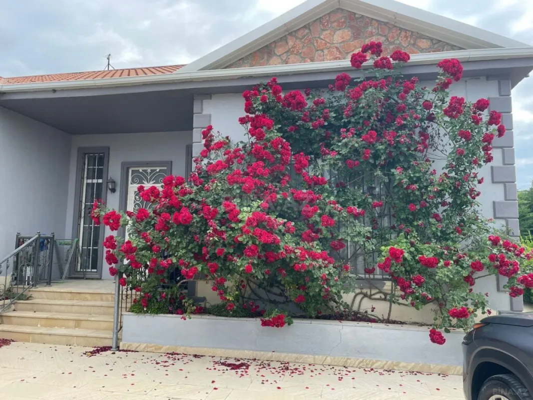 Kirayə verilir 4 otaqlı həyət evi 150 m²