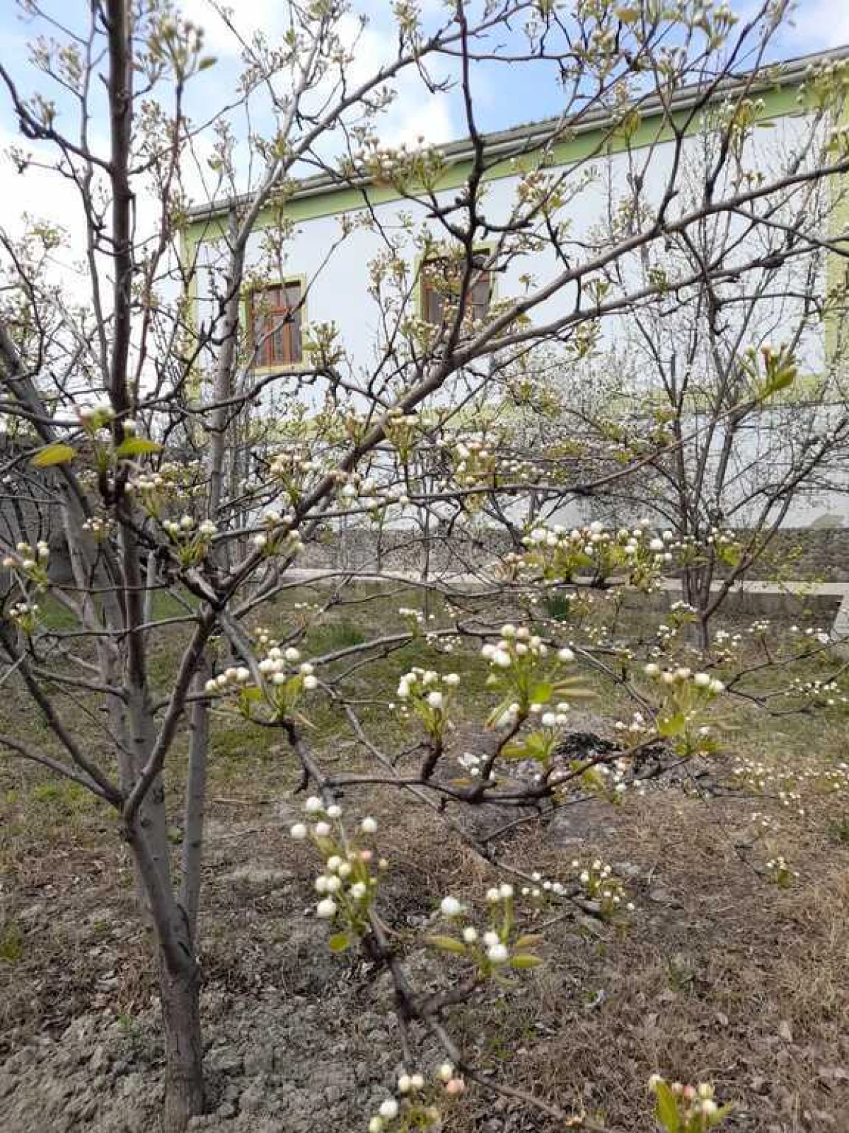 Satılır 6 otaqlı həyət evi 360 m²