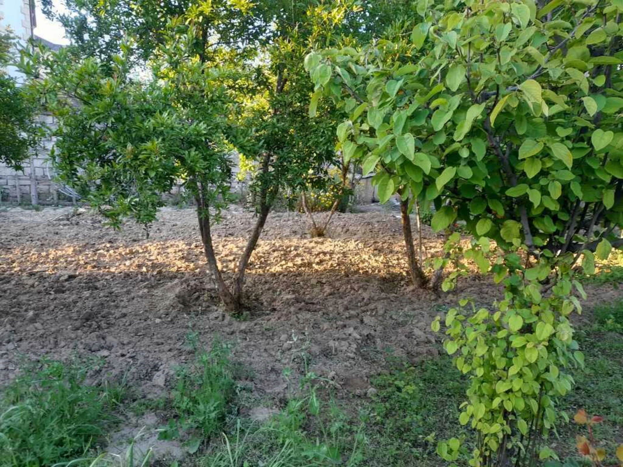 Satılır 6 otaqlı həyət evi 220 m²