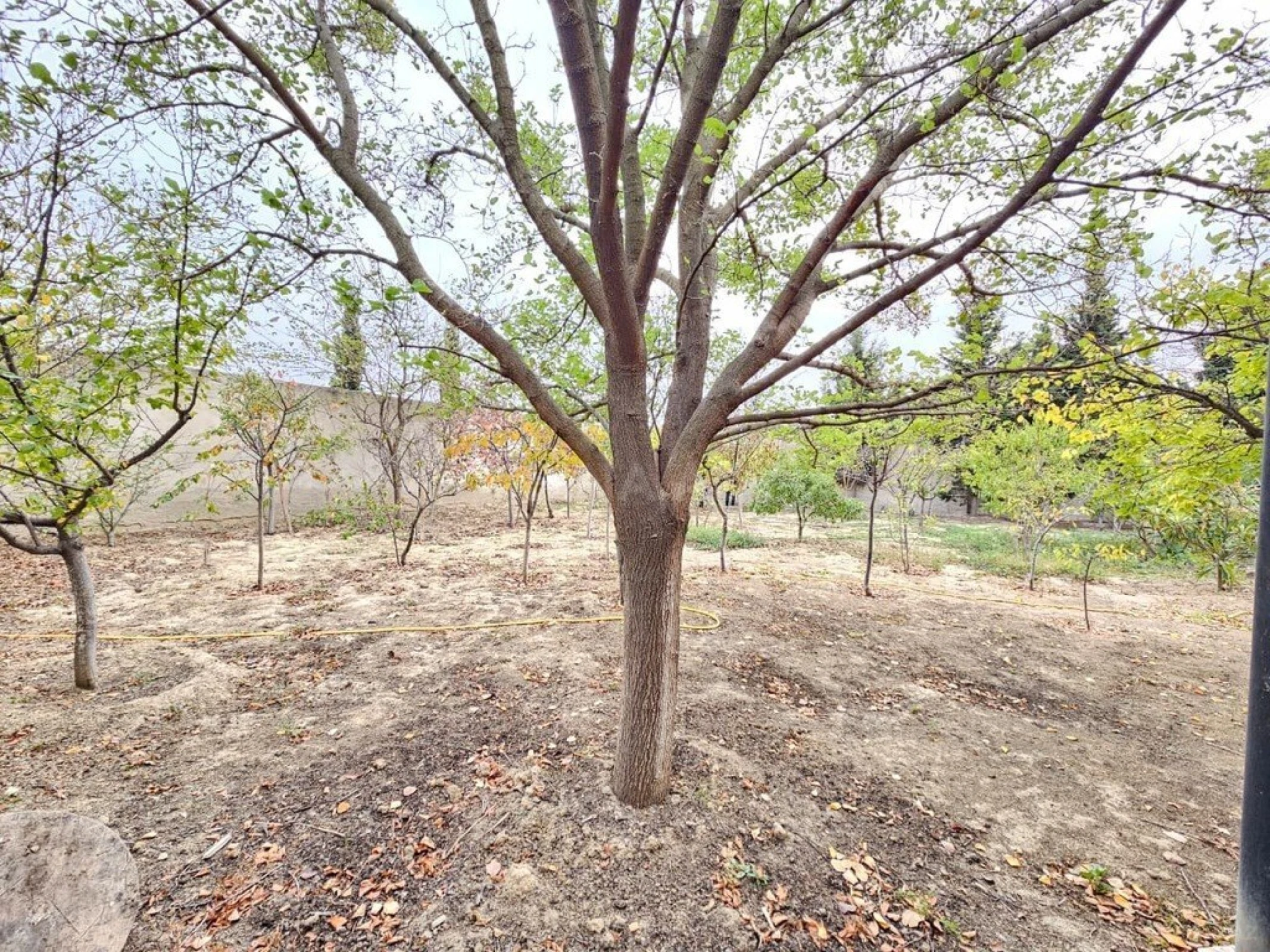 Satılır 5 otaqlı həyət evi 150 m²