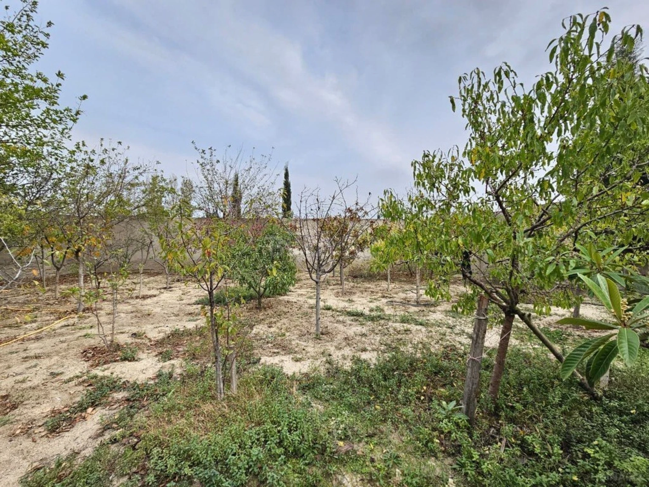 Satılır 5 otaqlı həyət evi 150 m²