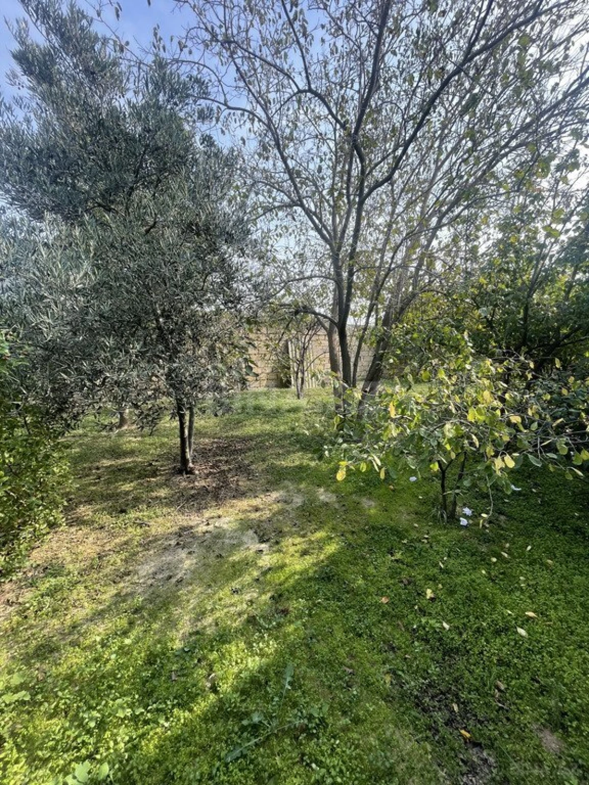 Satılır 4 otaqlı həyət evi 110 m²