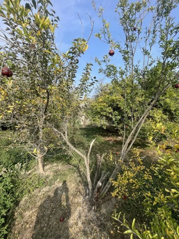 Satılır 4 otaqlı həyət evi 110 m²