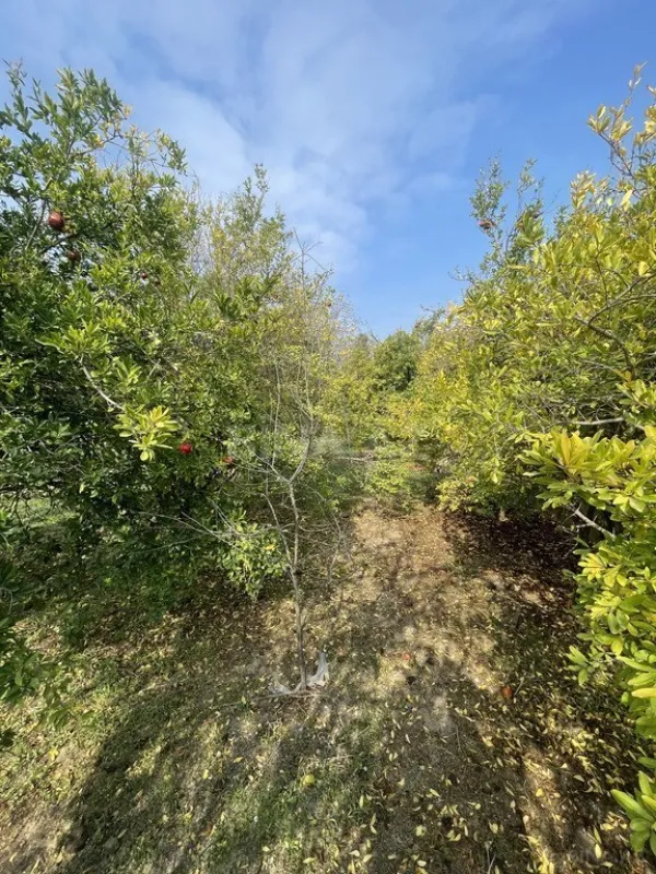 Satılır 4 otaqlı həyət evi 110 m²